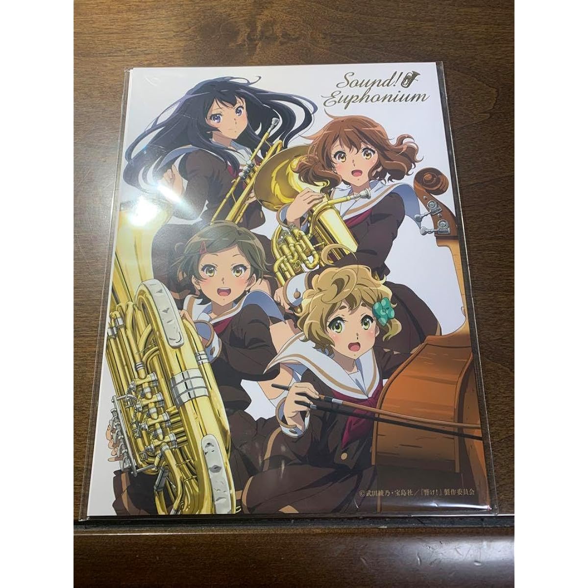 Sound Euphonium 7th Regular Concert Premium Goods