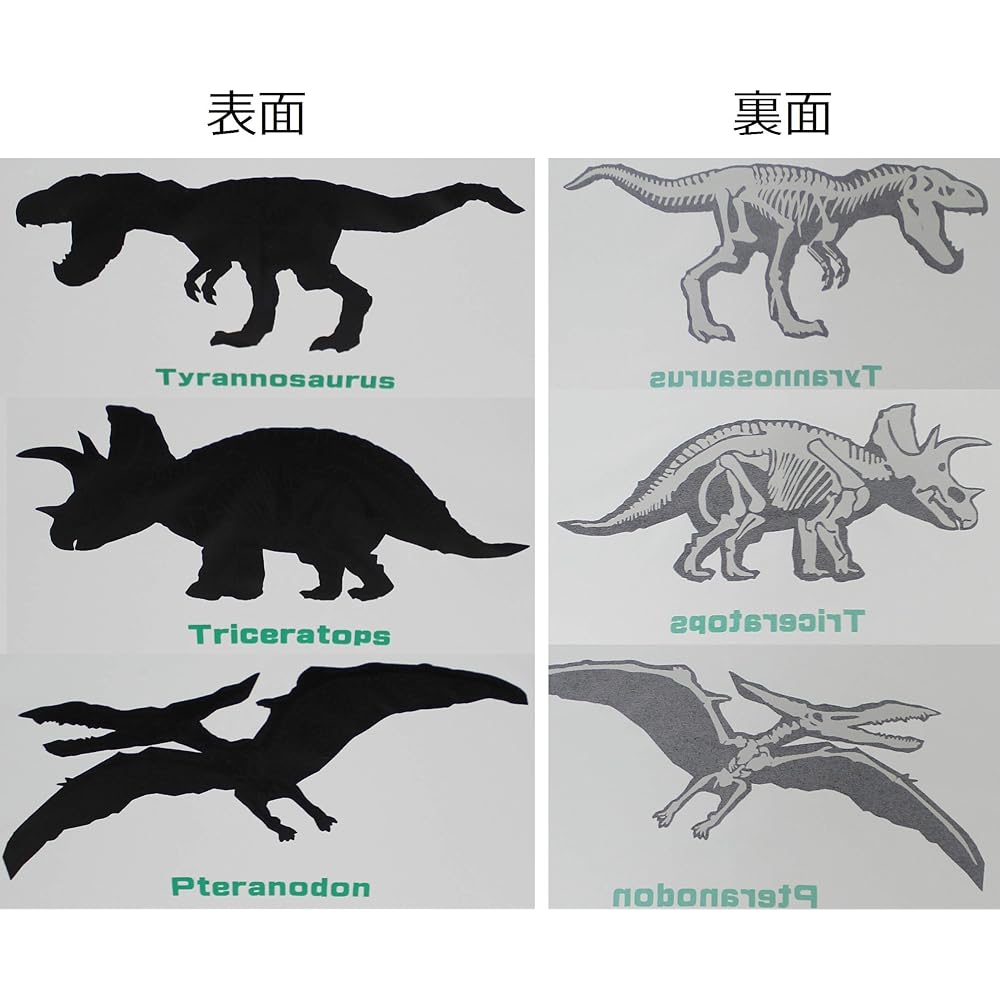 A light mini umbrella that fits in your school bag! Approximately 200g Dinosaur and bones