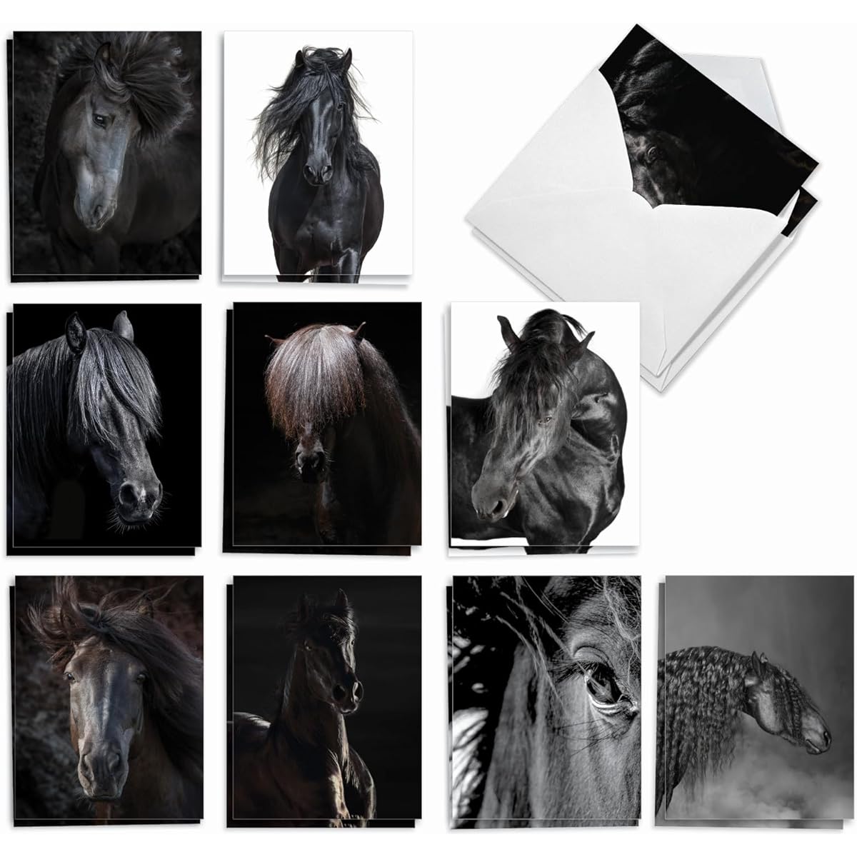 The Best Card Company Midnight Riders - 20 All Occasion Cards Boxed - Bulk Set AM9510OCB-B2x10