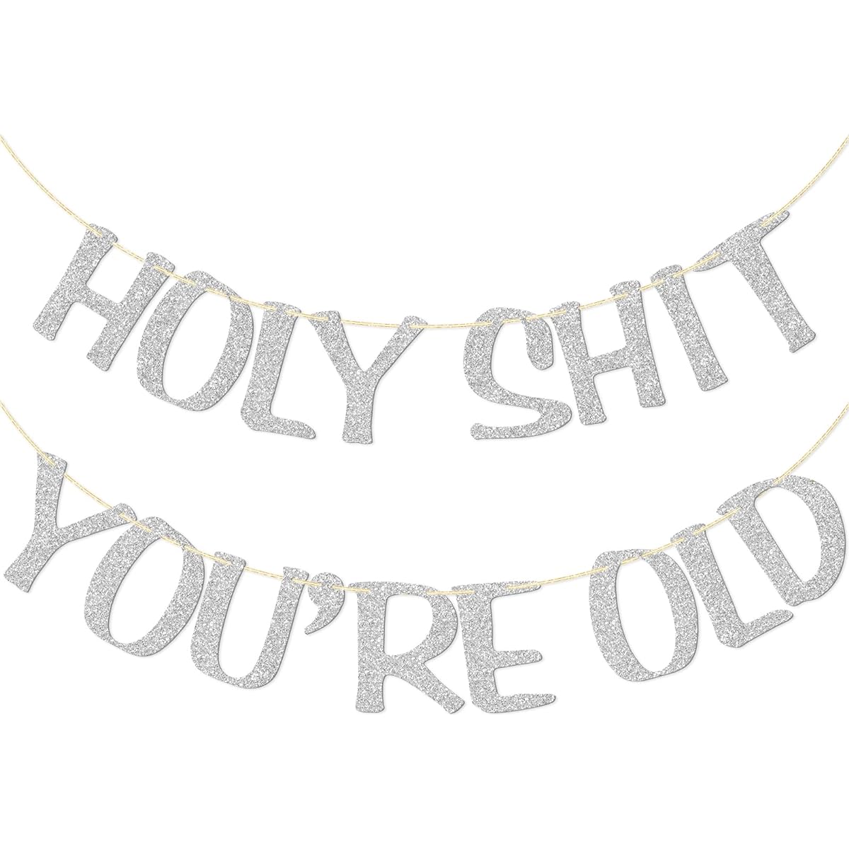 Holy Shit You're Old Banner Gold Glitter 30 Years Old 40 Years 50 Hours 60 Years 70 Years 80 Years 90 Years Funny Birthday Banner Sign Bunting Party Decor Photo Booth Props (Silver)