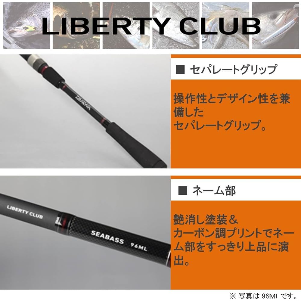 DAIWA Seabass Rod Liberty Club Seabass 8
