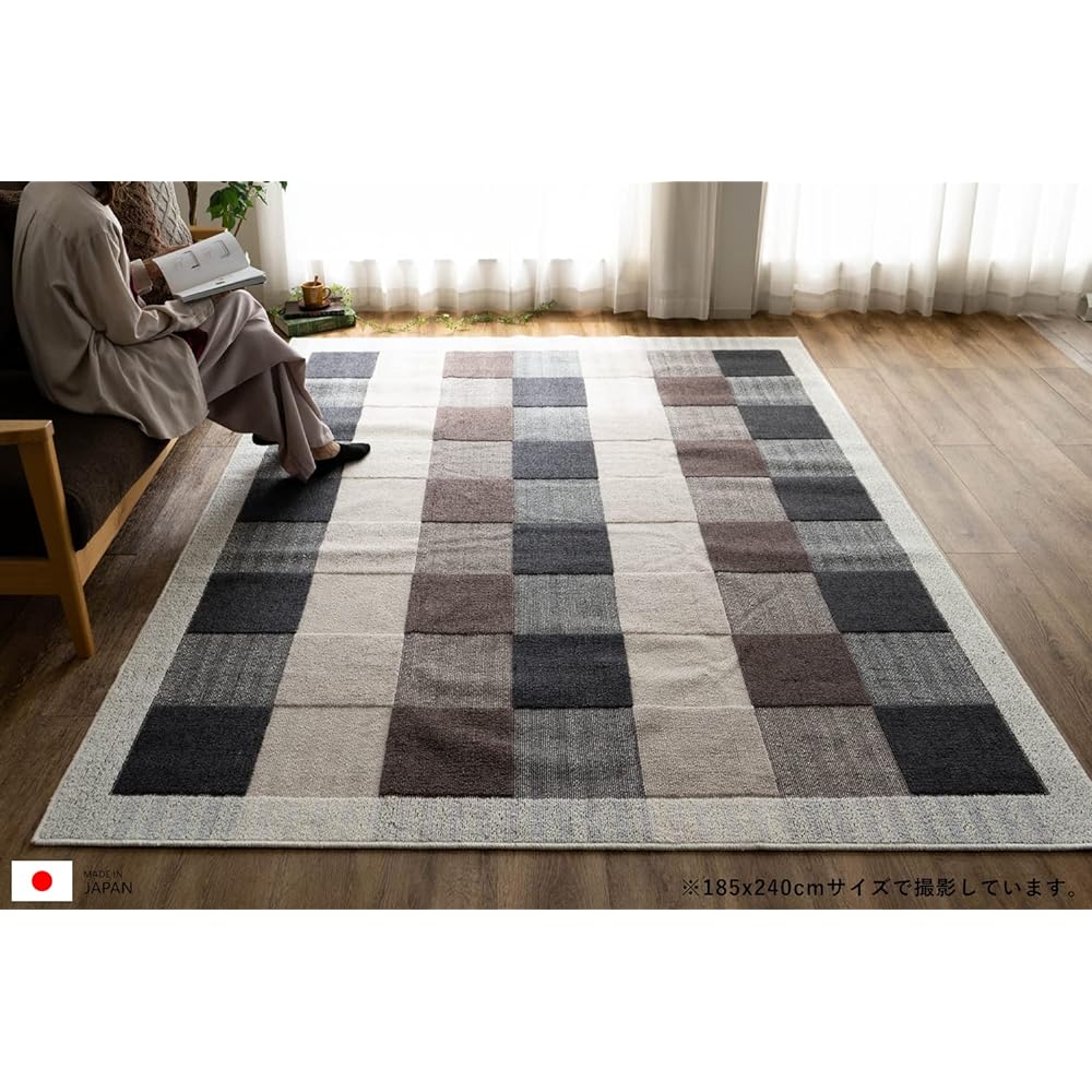Sayan Sayan Washable Antibacterial Odor Resistant Mite Resistant Rug Modern Block 185x185 2 tatami mats Black Made in Japan