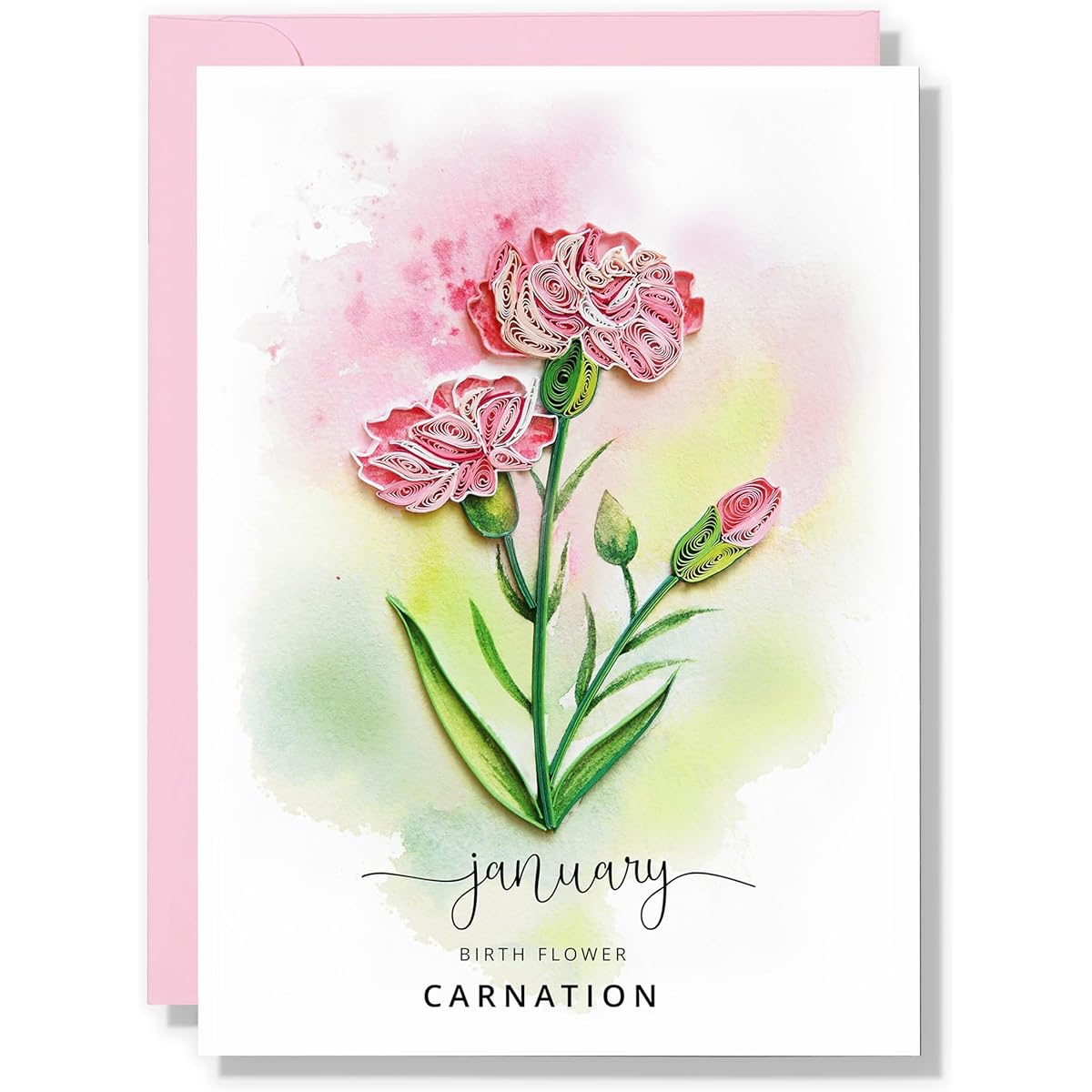 TUMYBee Birth Flower Card Handmade Killing Floral Card Birthday Carnation Floral Card Birth Month Flower Mother Woman Daughter Grandmother Birth Flower Gift Decoration 12 Months Flower Card (January)