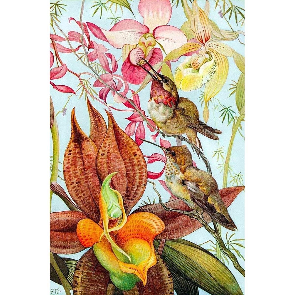 Wooden Mini Puzzles: - Birds and Orchids - 47 Unique Wooden Pieces Nautilus Puzzles Made in the USA