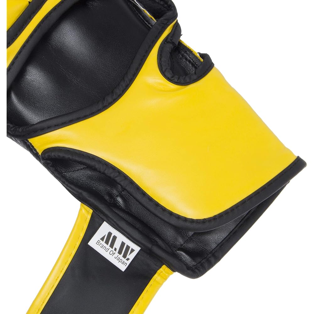 Martial World (MARTIAL WORLD) MMA Gloves Training Open Finger PG82-L-