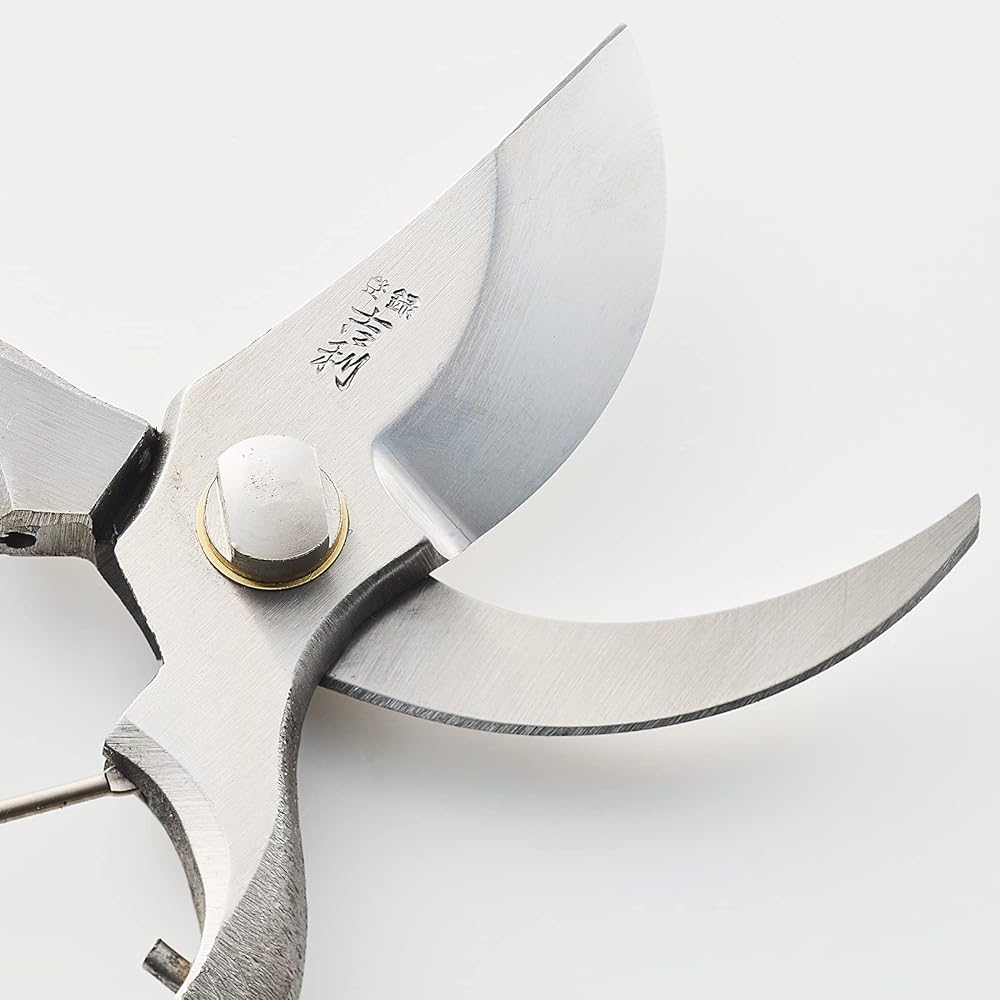 Geely Stainless Steel Pruning Shears, 200mm, Made in Japan, Made in Sanjo, Niigata Prefecture, High Quality, Professional Specification, Resistant to Tar, Shibu, and Rust, For Pruning Garden Trees and Fruit Trees, For Cutting the Stems of Fresh Flowers a
