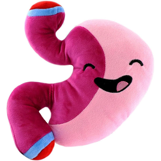 Attatoy Plush Stomach - Barry the Sleeve - Stuffed Toy, 25cm After Surgery Pal, Bariatric Gastric Bypass Sleeve; Surgery Education, Surgeon Gift; Gastroenterology Education