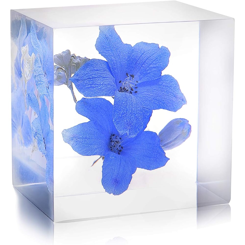 [Felinas] Herbarium Crystal Blue Flower of Happiness White Day Return Present Delphinium