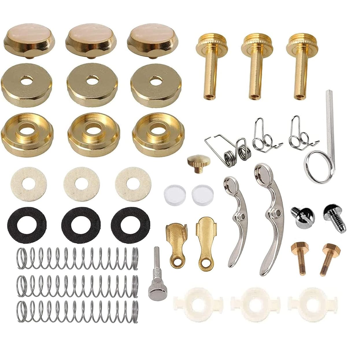 TUOREN Trumpet Valve Repair Kit with Finger Button, Connecting Rod, Valve Cap, Piston Guide, Spring Felt Washer, Water Key Spit Valve Assembly, Set of 39, Gold