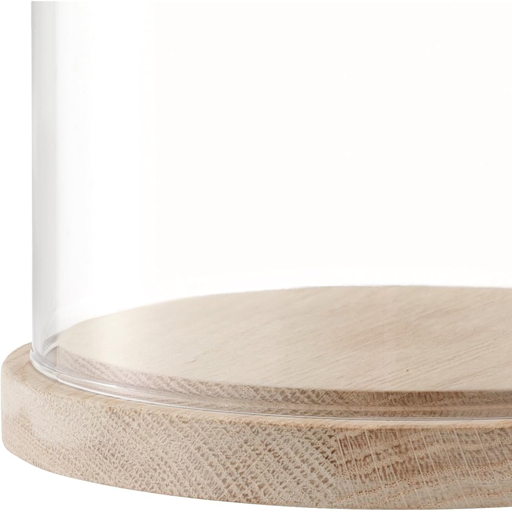 LSA Glass Dome & Wood Tray Clear Height 15cm IVALO G1048-15-301