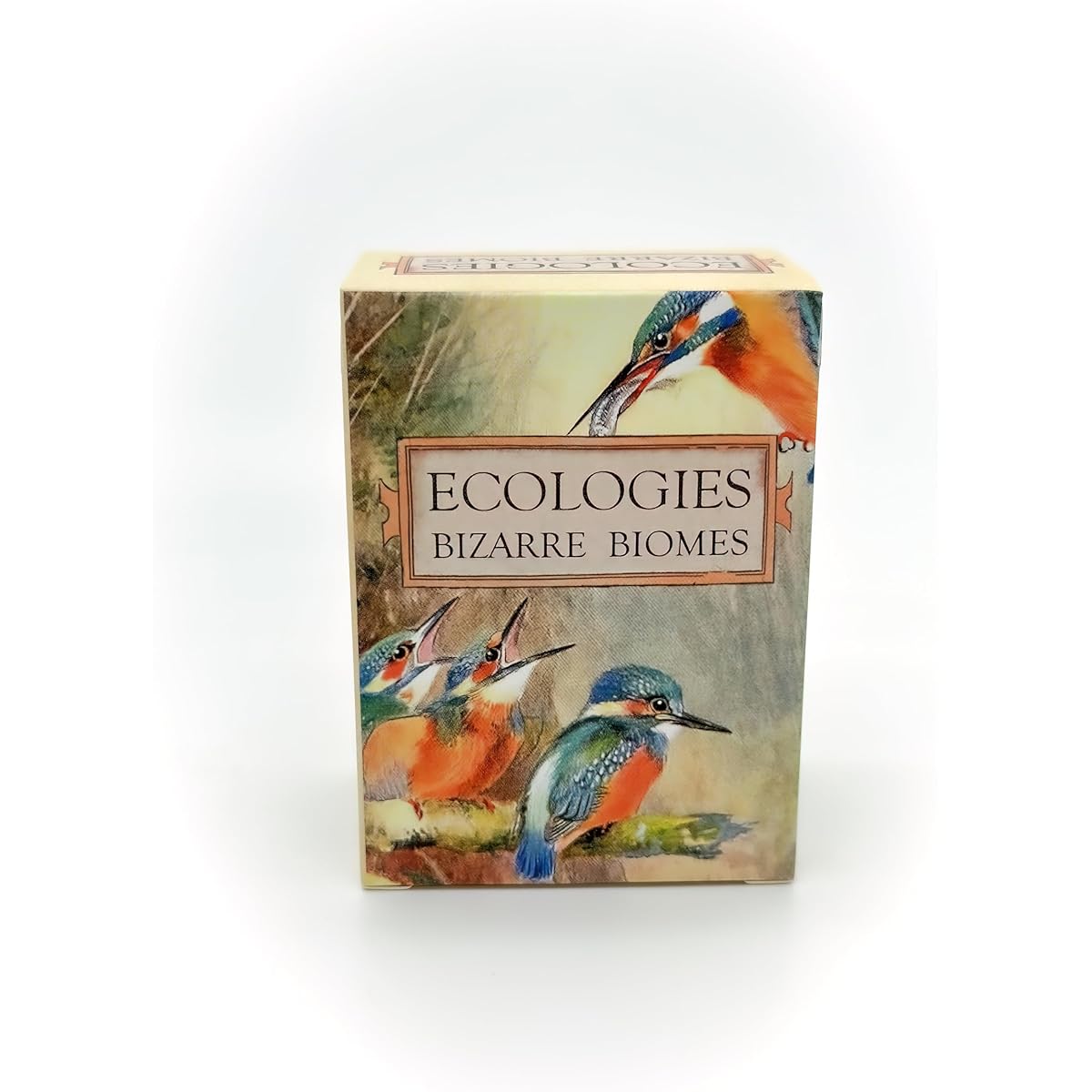 Ecology: Weird Biomes - Use Science to Build Food Nests in 7 Biomes - Beautiful Vintage Nature Art for the Classroom or Game Night