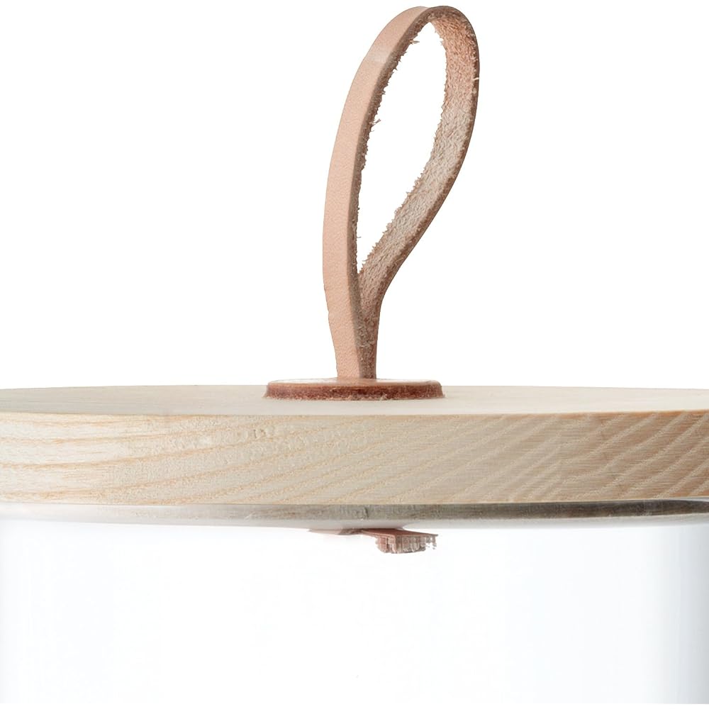 LSA Ivalo Glass Container & Ash Lid Height 15.5cm G1085-15-301