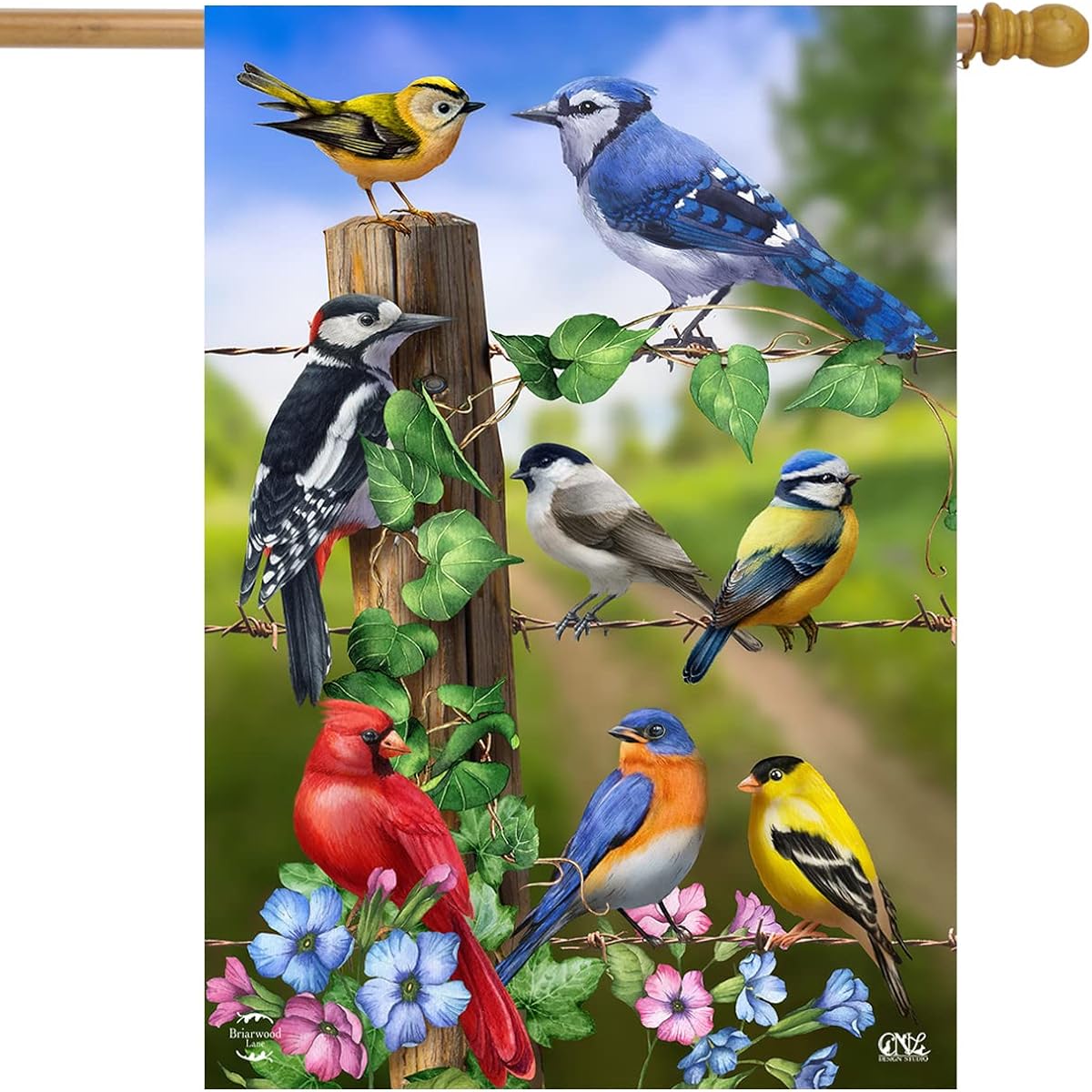 Briarwood Lane Country Birds Spring House Flag Goldfinch Blue Jay 28" x 40"