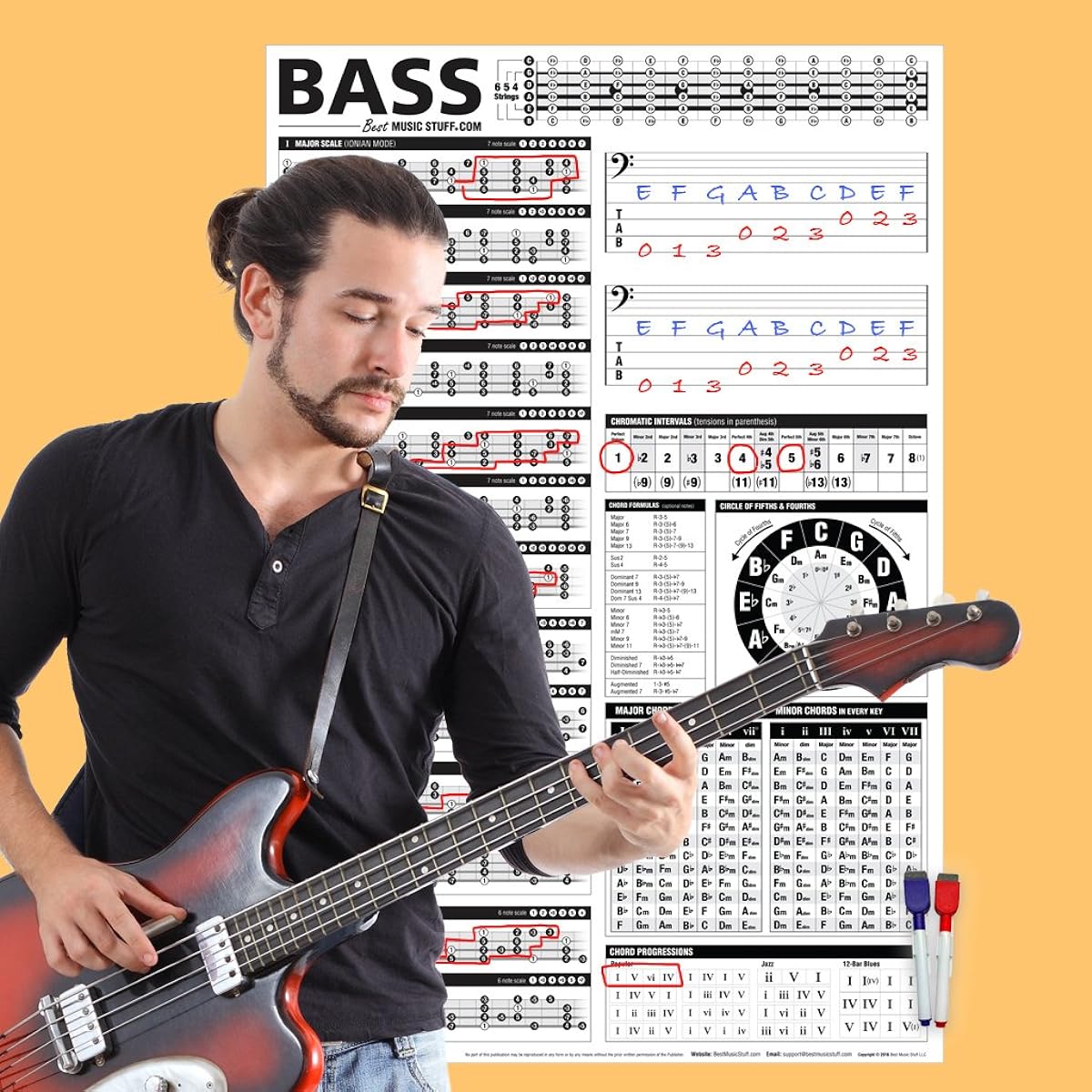 Best Music Stuff Interactive Bass Music Theory Logic Chart Creative Bass Reference Poster 60cm x 91cm (24" x 36") (Dry Erase) 602573435304