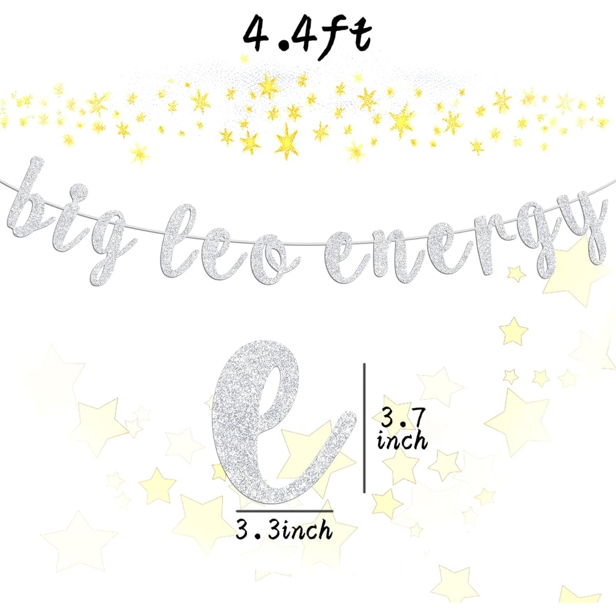 Big Leo Energy Banner Happy Birthday Leo Horoscope Star Sign 12 Zodiac Signs Theme Birthday Party Decorations Supplies for Boys and Girls Silver Glitter
