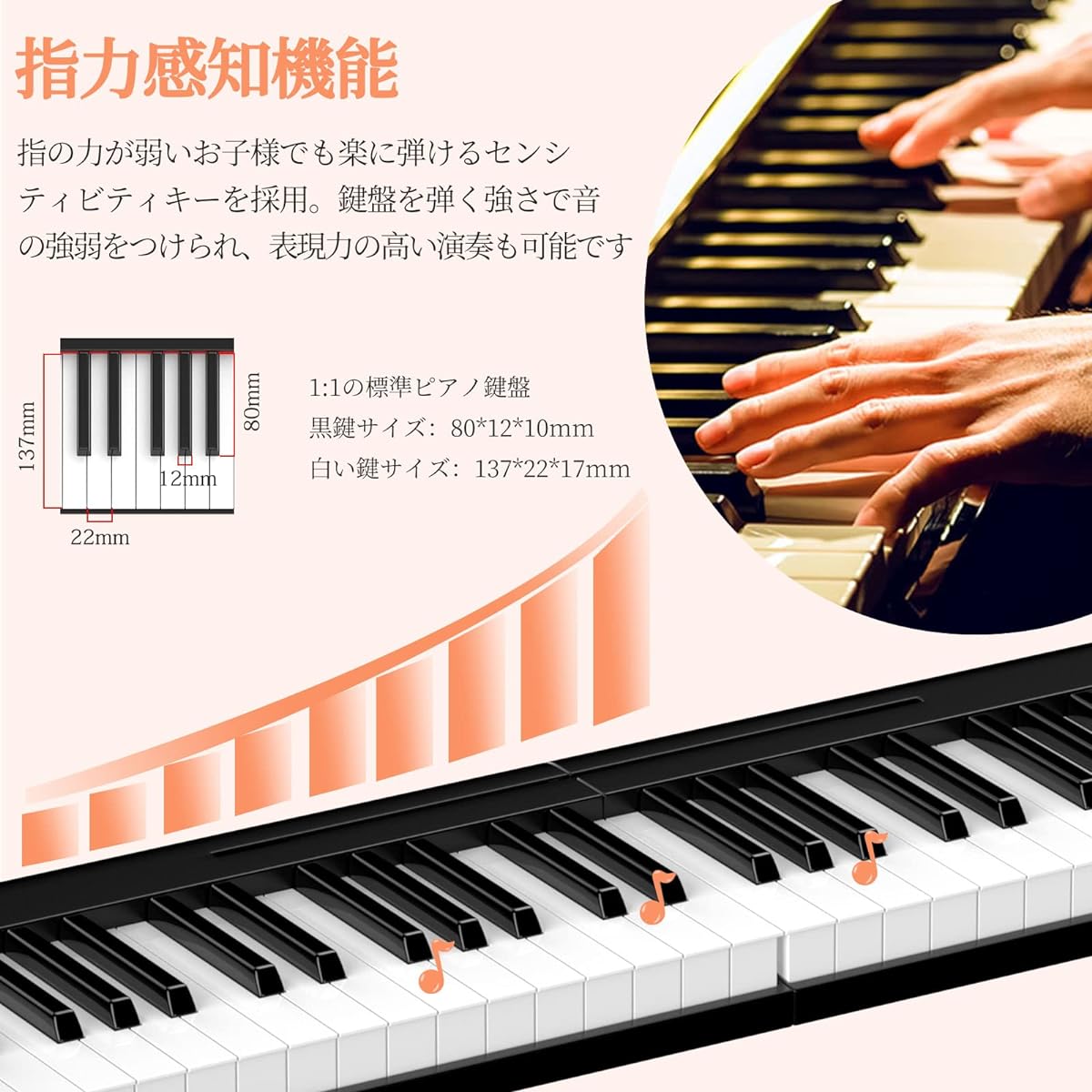 rding/Program Function Digital Piano Built-in Speaker Electronic Keyboard Lightweight Portable Long-Term Usage Folding Piano Comes with Petals For Beginners Perfect for Practice Suitable for Beginners/Children Japan Comes with language instruction manual