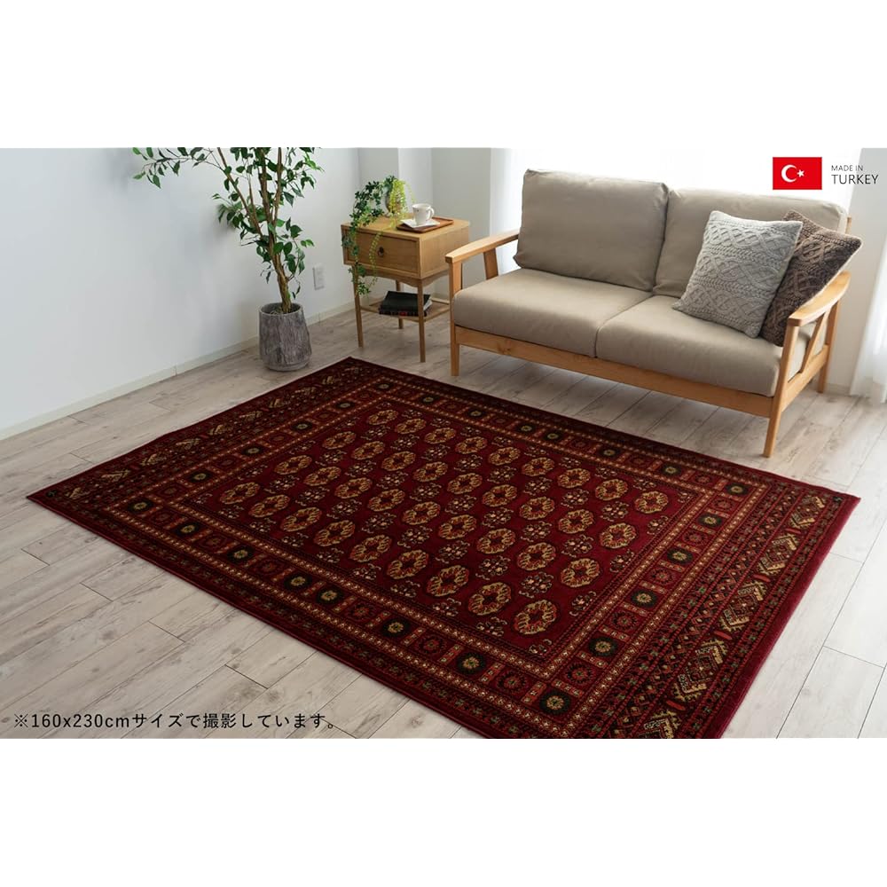 Sayang Sayan Bohara Pattern Rug Rug Legend III 160x230 3 Tatami Red Wilton Weave