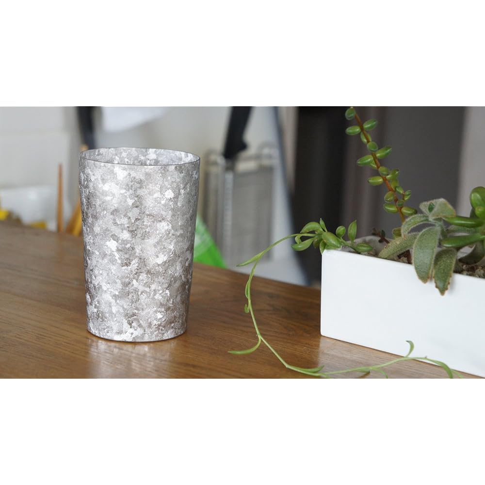HORIE Made in Tsubame, Niigata Prefecture Titanium double tumbler Kiln making LIGHT 270cc Silver T09KMS270