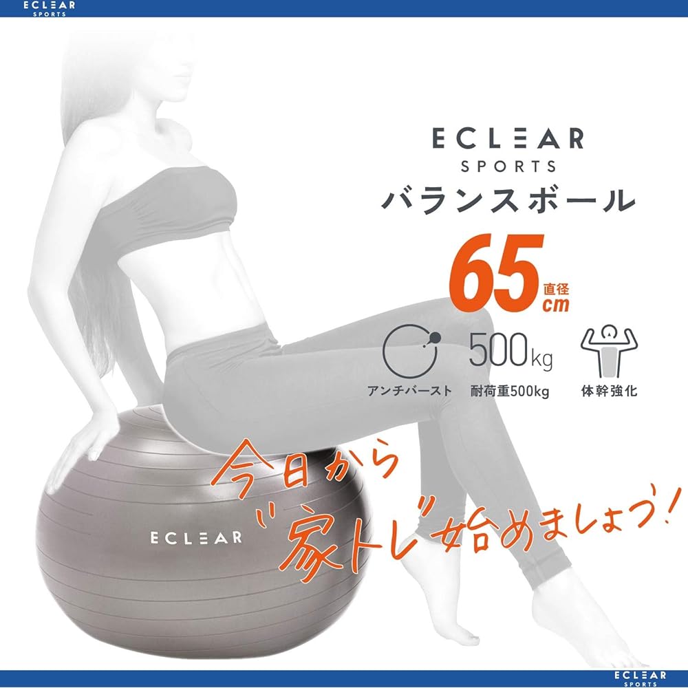 ELECOM Balance Ball 65cm Fitness with Air Pump Gray HCF-BB65GY