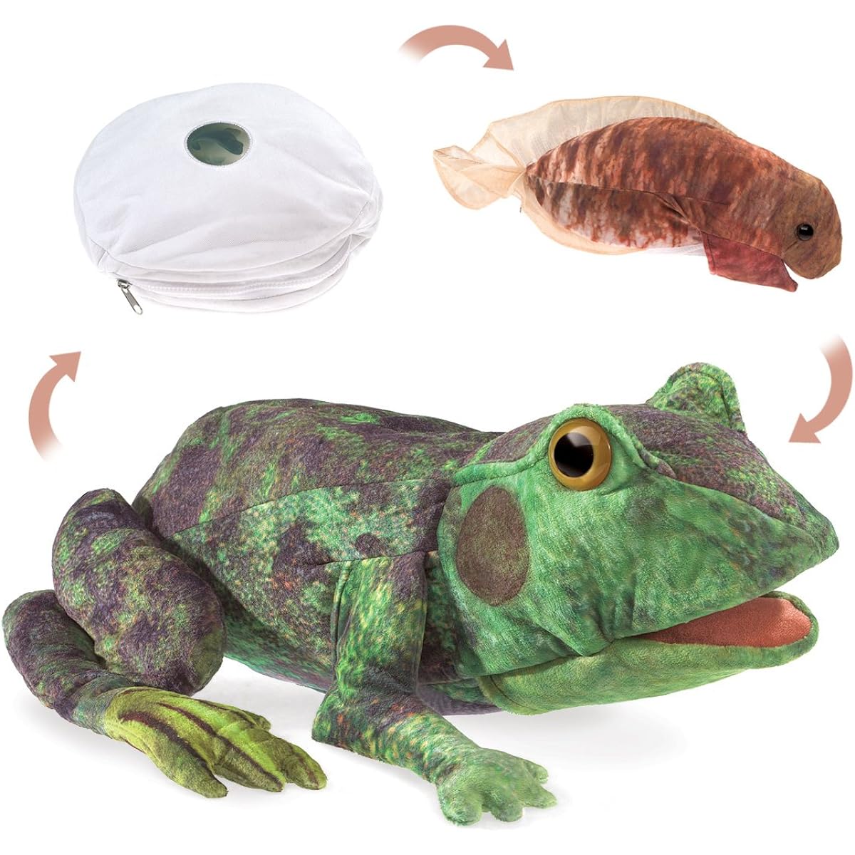 Folkmanis Frog Life Cycle Hand Puppet