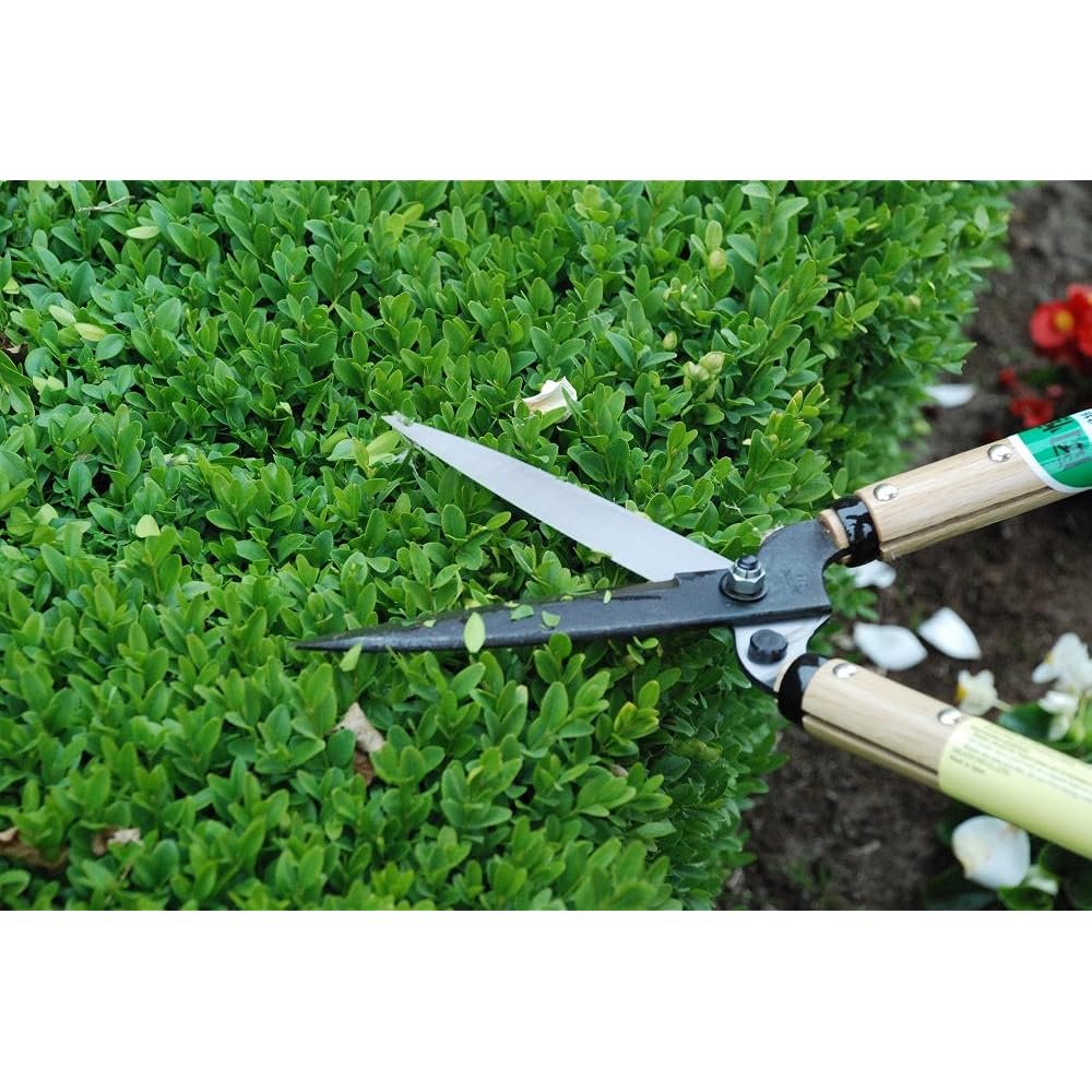 Okatsune Scissors Factory Okatsune 216 Okatsune Cutting Scissors Type 55 Short Handle 7743ai