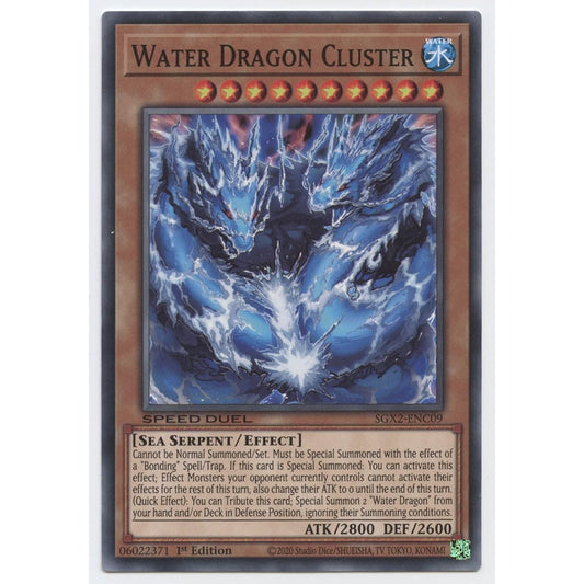 Water Dragon Cluster - SGX2-ENC09 - Common - 1st Edition.
