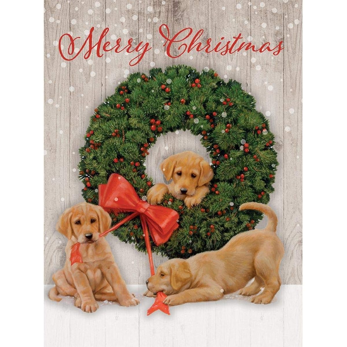 LANG Wonder and Joy Boxed Christmas Cards (1004870)