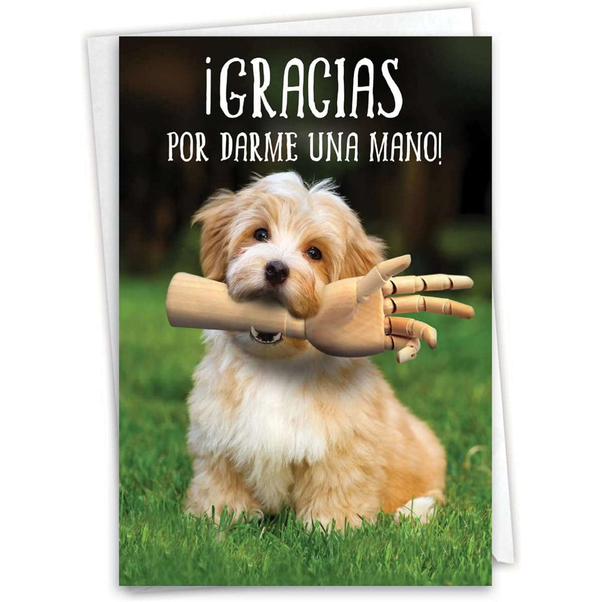 NobleWorks Humorous Spanish Thank You Paper Cards with 5 x 7 Inch Envelopes (1 Card) Dar una Mano C6877TYG-SL