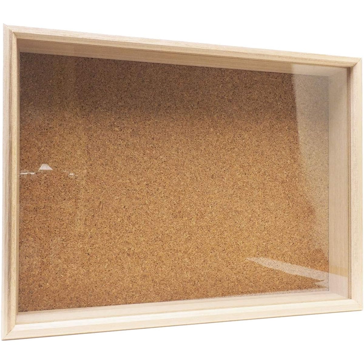 Shiga Inlay Glass Lid Specimen Box [Extra Large Cork Base]