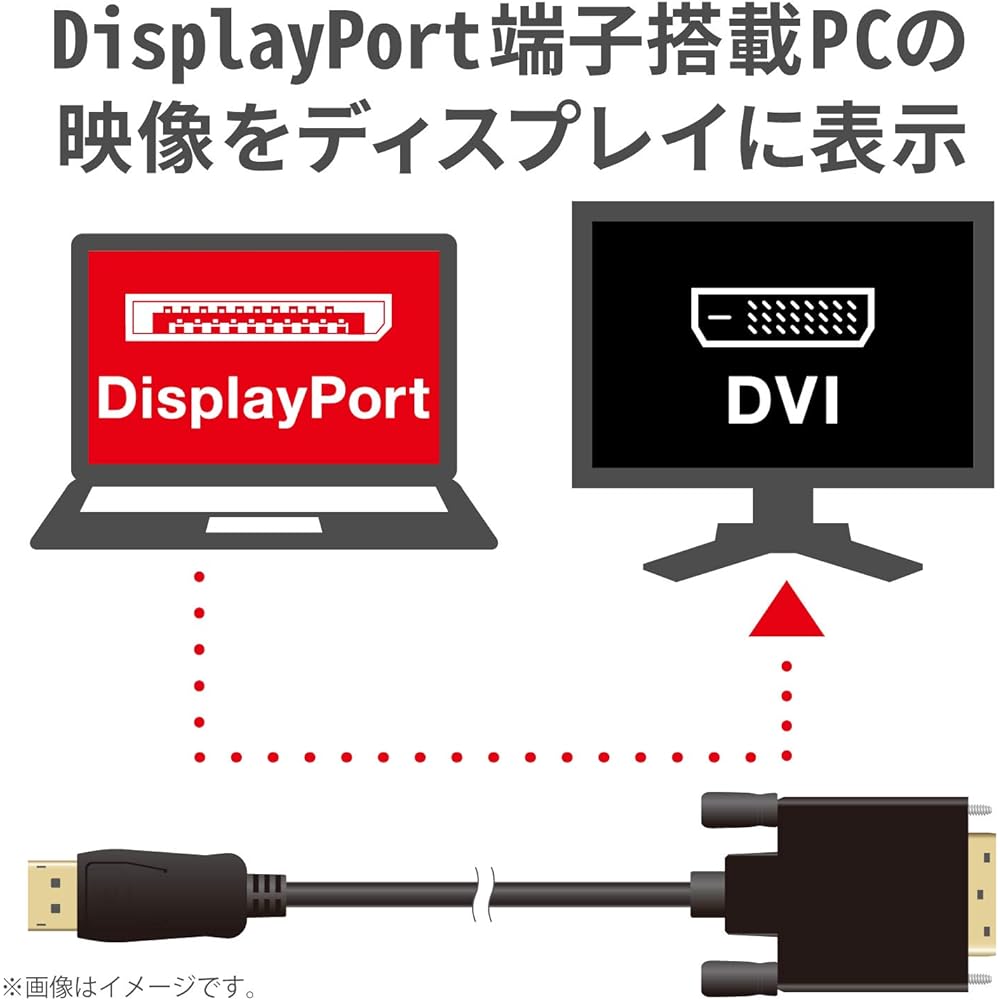 ELECOM Conversion Cable DisplayPort DVI 1.0m Black CAC-DPDVI10BK