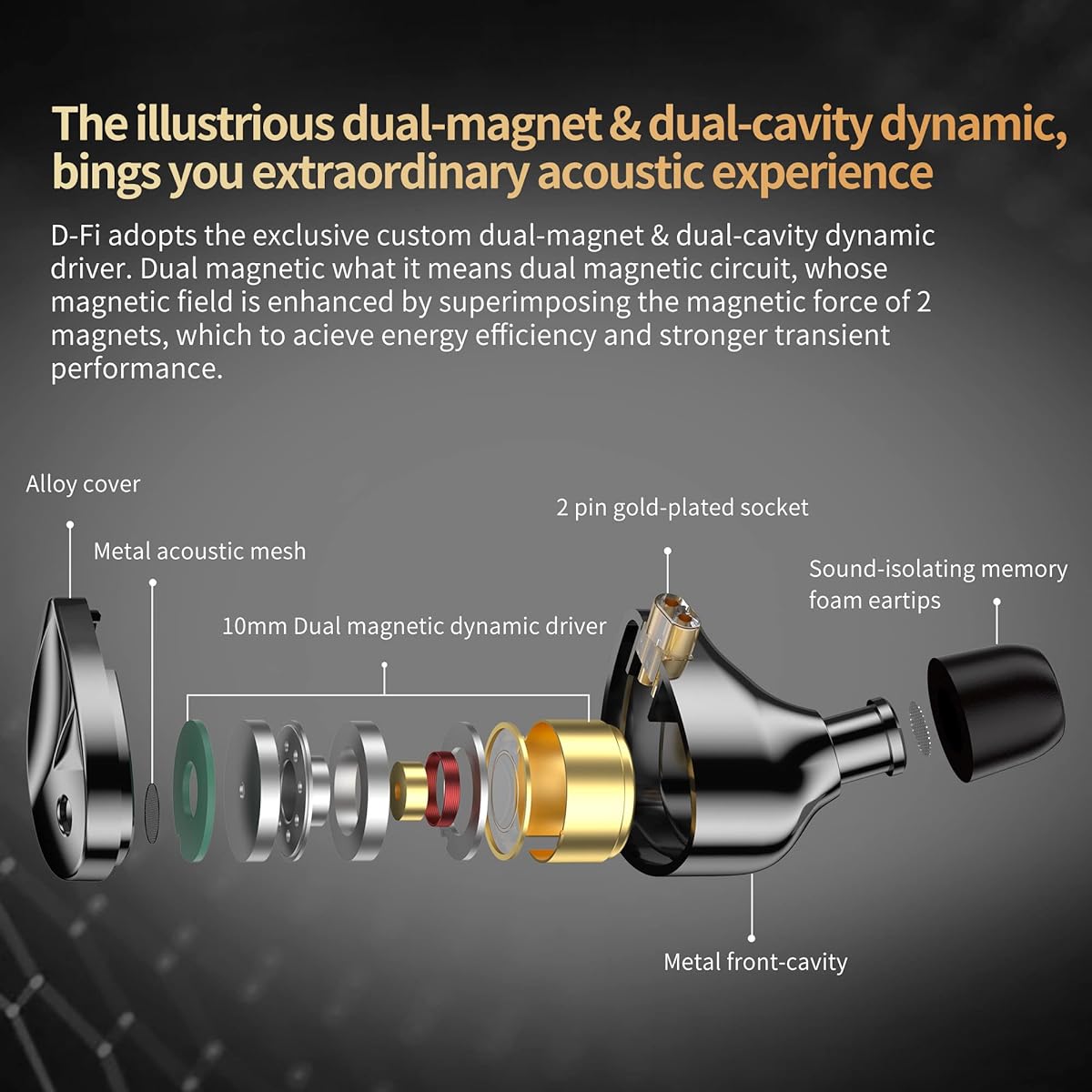KZ D-Fi In-Ear Monitor Headphones Dual Magnetic Circuit Dual Cavity Dynamic Coil Unit Wired Earphone HiFi IEM Stereo Noise Isolation for Musicians Singers Audiophiles Black No Tuning Switch