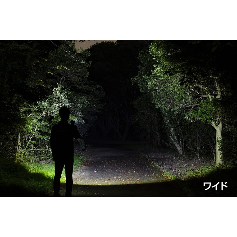 GENTOS Flashlight LED Light Rechargeable 200~900 Lumens Rexceed RX-285R/RX-286R/RX-304R/RX-344D/RX-386R/RX-486PB