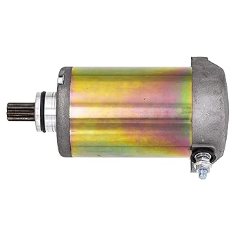 NICHE Starter Motor Assembly 31100-38300 for Suzuki GZ250 TU250X GN250 Quadrunner 300