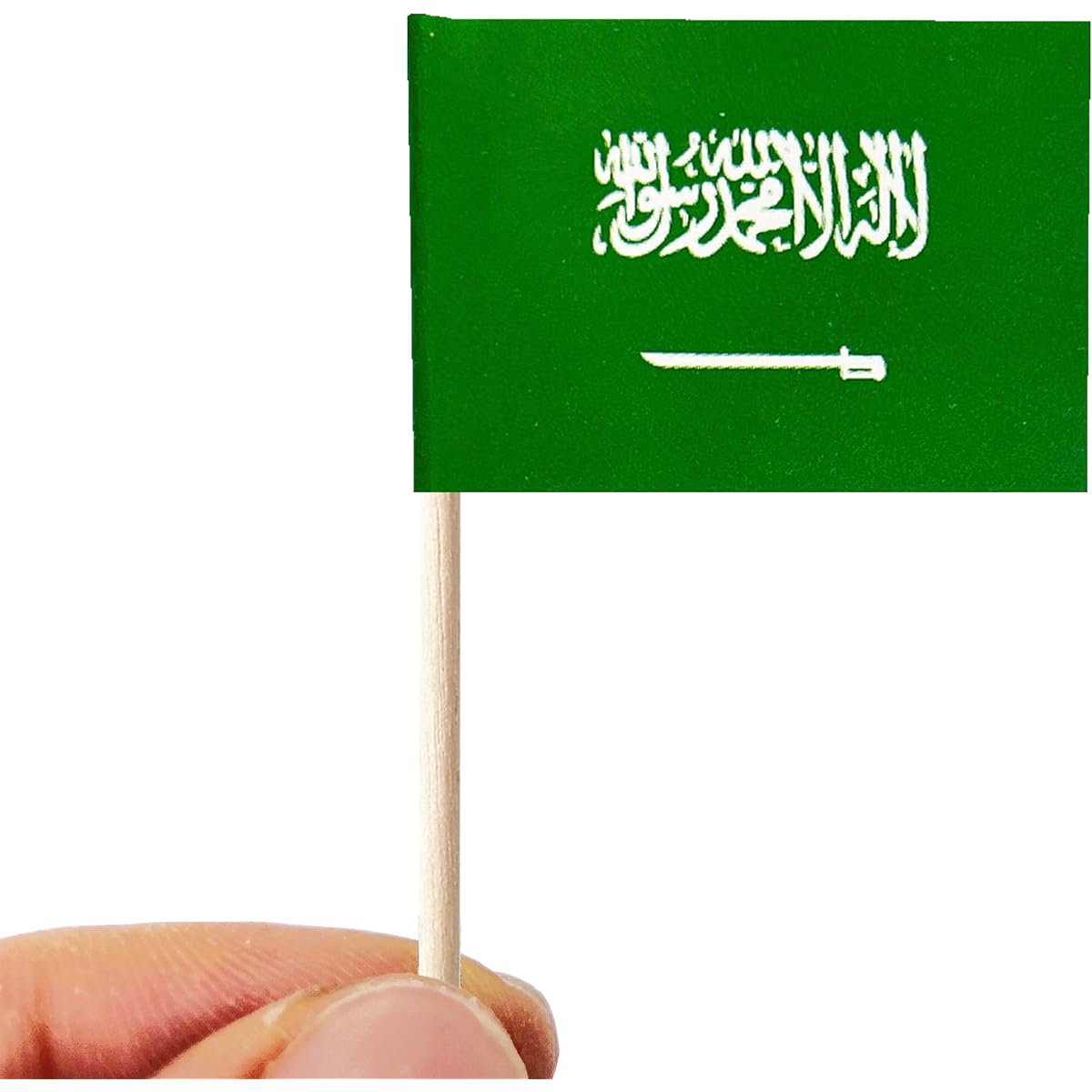 stidsds 100 Pieces Flag C (Saudi Arabia)