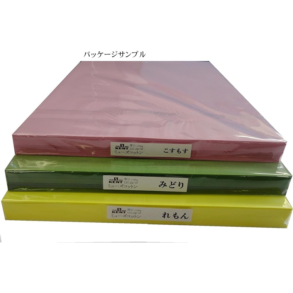 Eskent Colored Drawing Paper Muse Cotton Thick Eight Cut Hydrangea 100 Sheets 41080026