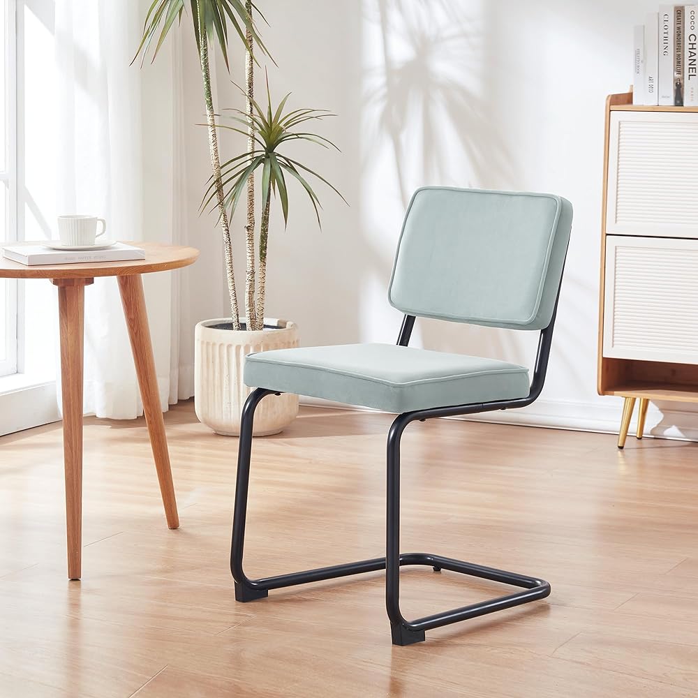 GOQRAQ Dining Chair Stool Set of 2 Velvet Fabric Cushion Load Capacity 120KG Available in 3 Colors Backrest Elasticity (Dining Chair, Gray)
