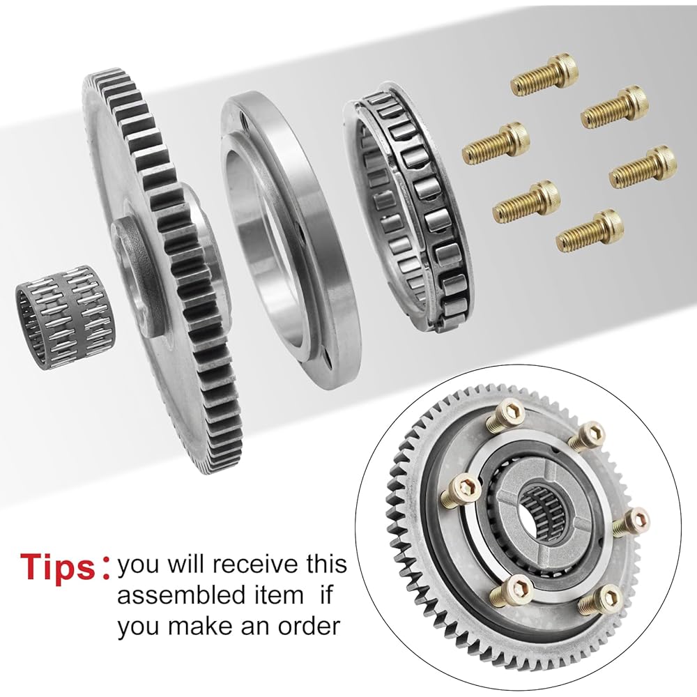 Starter Clutch One Way Gear 65T Bearing & Gasket for Yamaha Warrior 350 Raptor 350 Kodiak 400 4x4 Big Bear 350 2x4 4x4 Moto-4 350