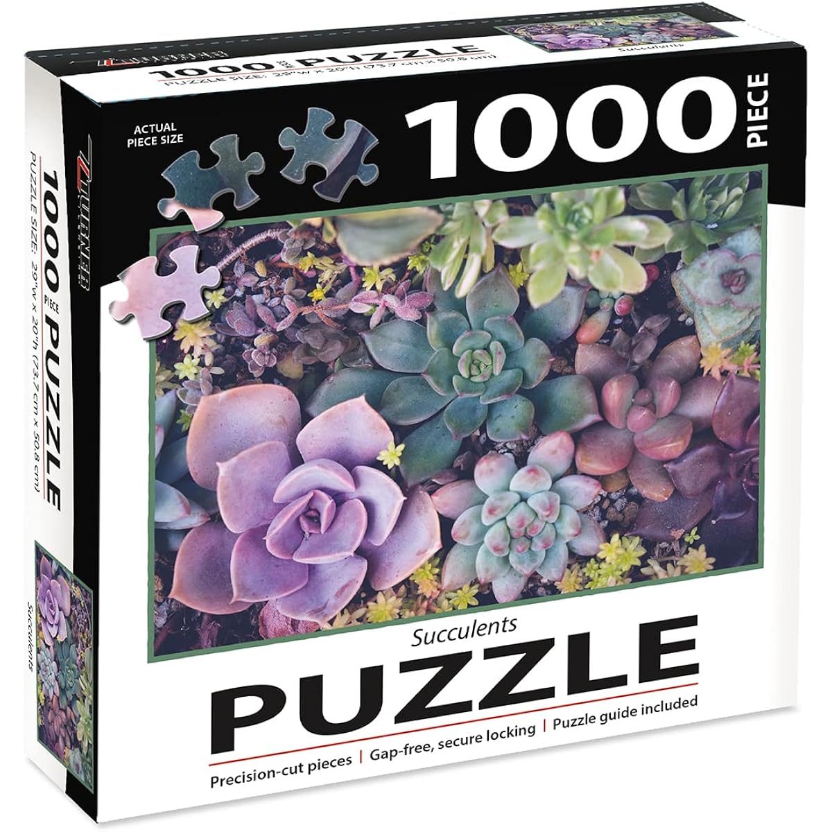 Succulents 1000 piece photo jigsaw puzzle