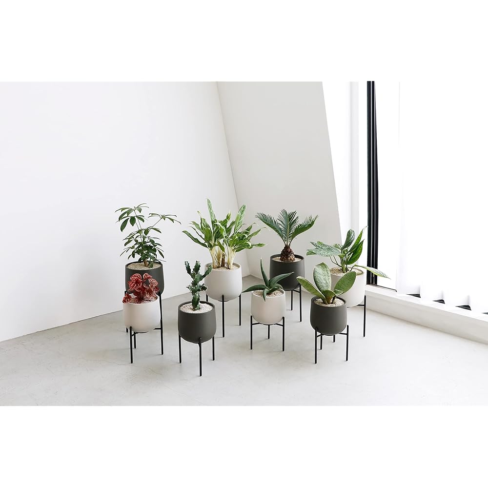 KINTO Plant Pot 211_ 135mm Earth Gray Stand Type Pot 29232