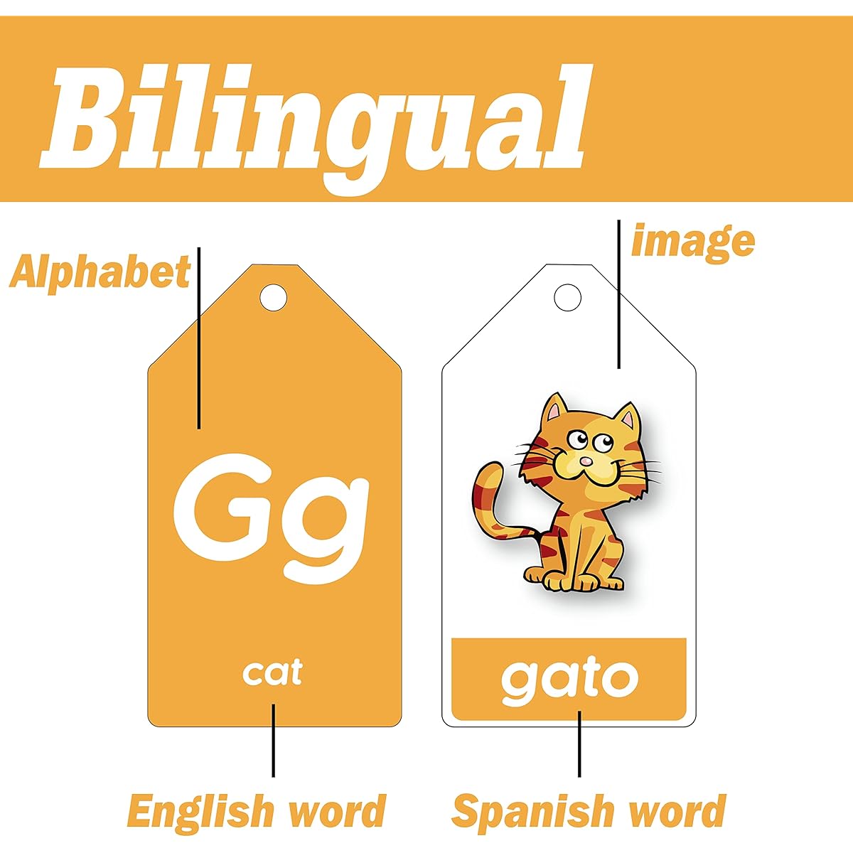 Spanish English Flash Cards Bilingual for Kids 5 Themes Alphabet Color Number Shape First Words 84 Cards Gift Pack