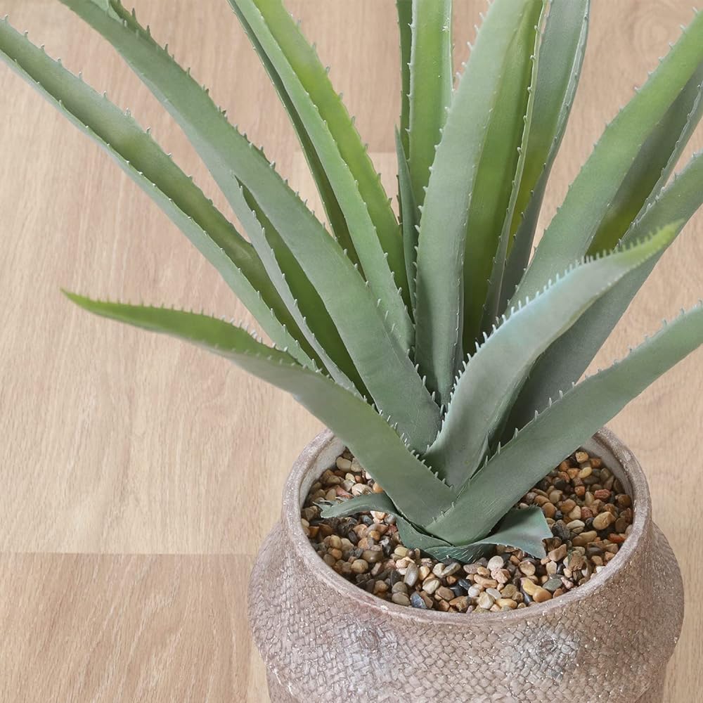 Fuji Boeki Fake Green Interior Green Artificial Plant Width 70 x Depth 75 x Height 75cm Aloe M Size Tabletop Cement Pot 41136