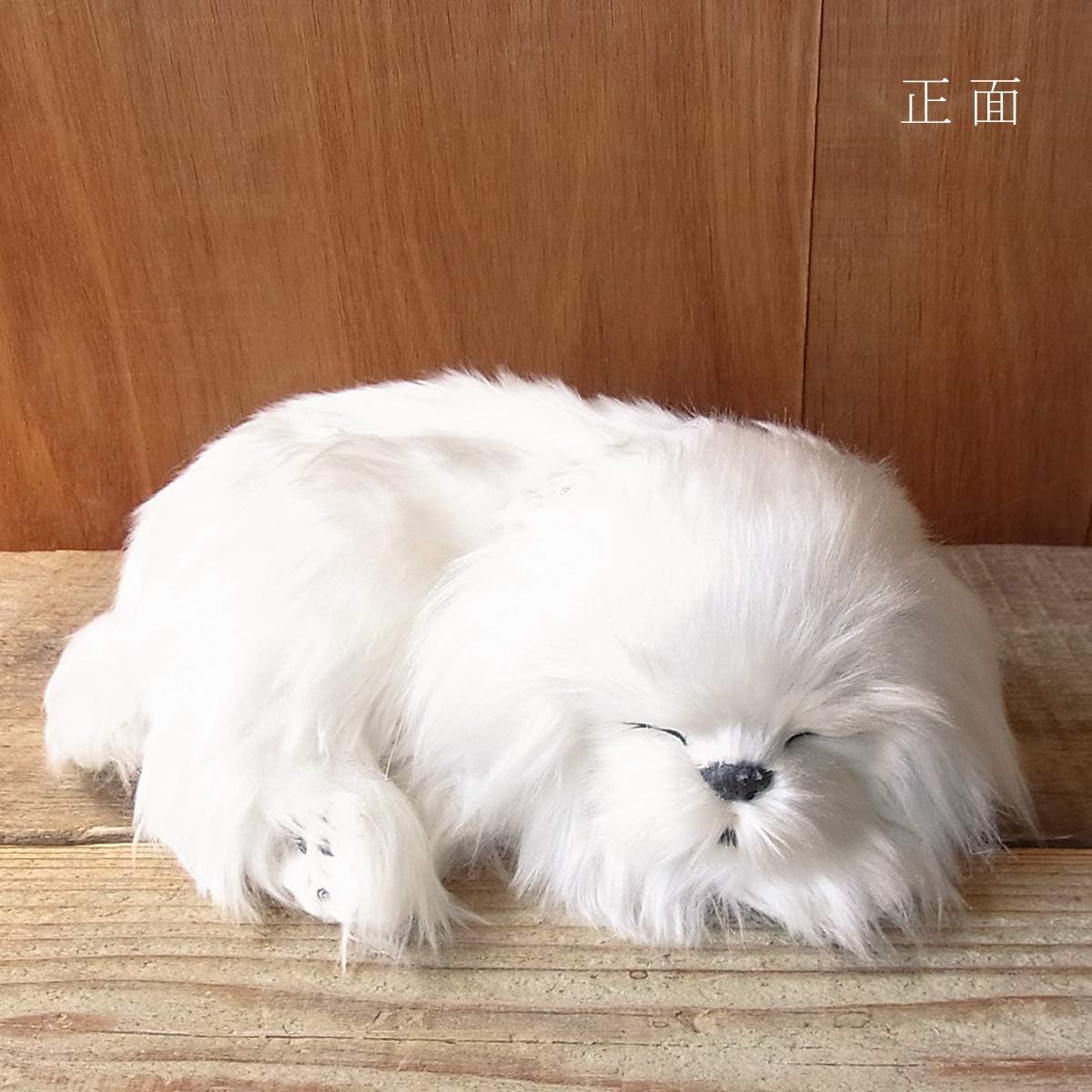 Ninian and Kino Perfect Pet (Small Size) Maltese Stuffed Animal Dog Realistic Look-alike Goods Animal Healing Moving Present Gift Celebration Cute Stuffed Dog