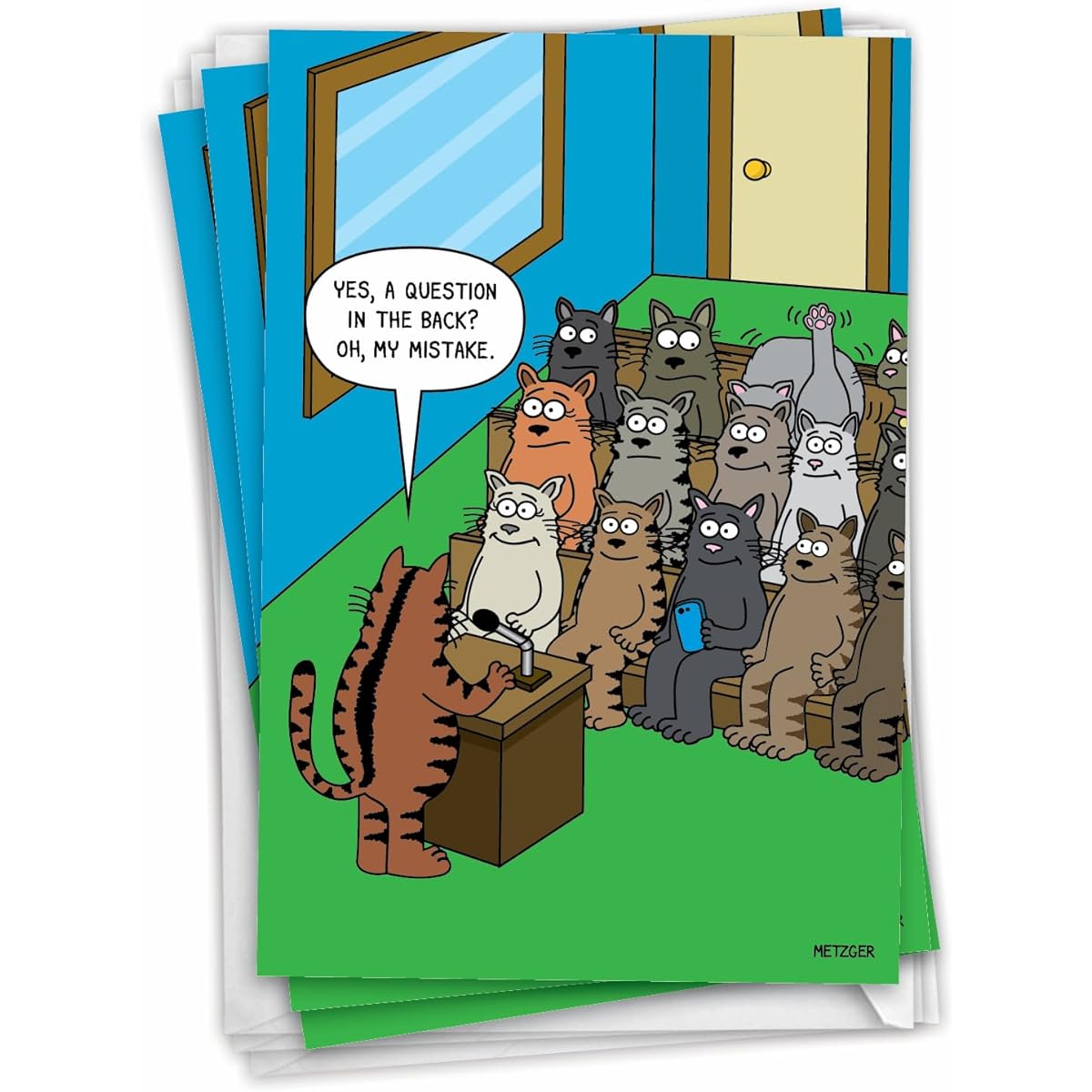 NobleWorks 3 Pack Funny Birthday Greeting Cards with Envelopes (1 Design, 3 of Each) Cat Questions C3674BDG-C3x1
