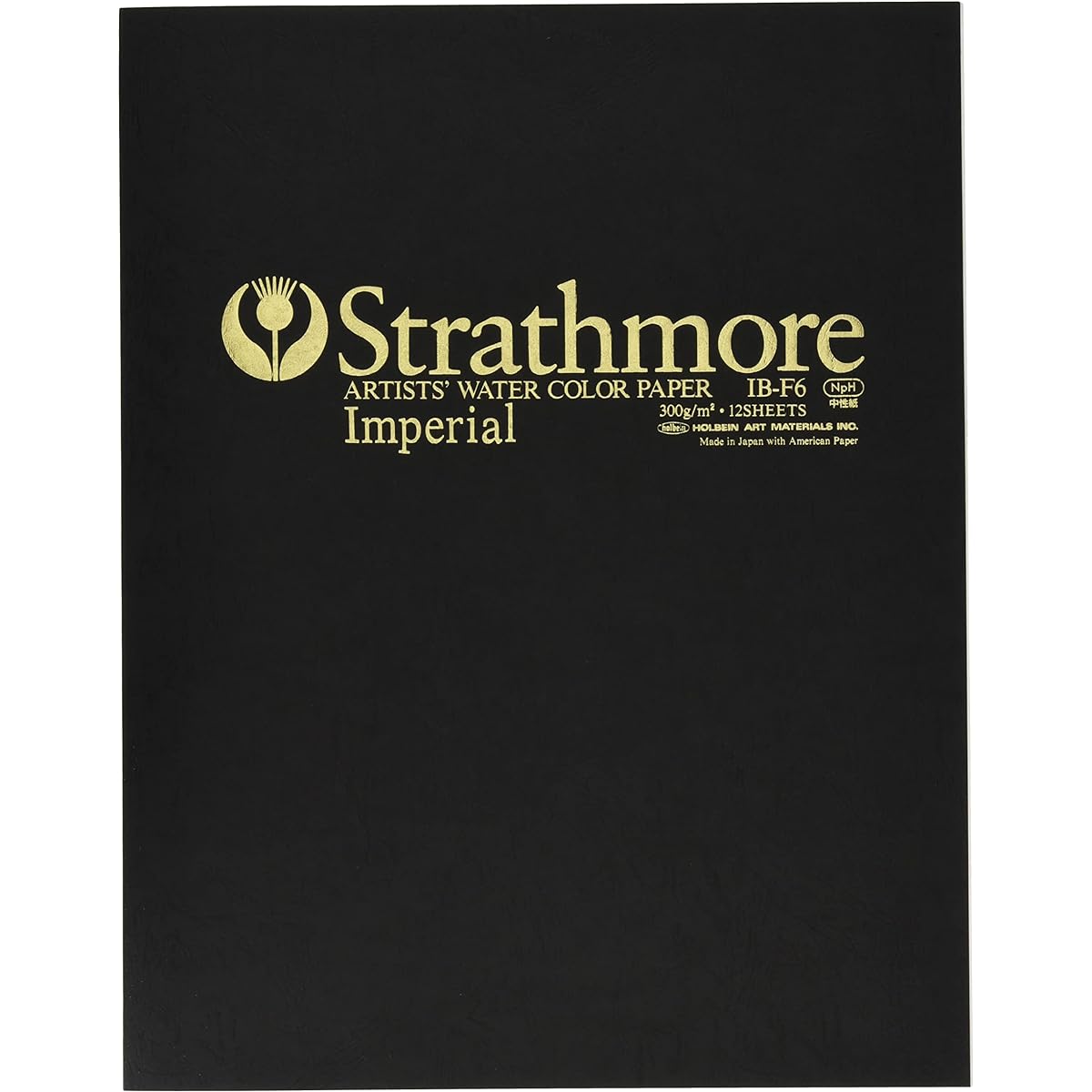Holbein Strathmore Watercolor Paper Block Imperial 300g (Medium Weight) Medium Grain 12 Sheets 270-674 IB-F6