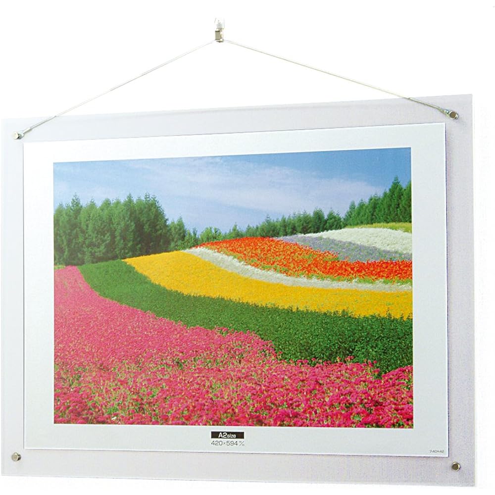 NAKABAYASHI Acrylic Picture Frame Wall Hanging Type A2 Fu-ACH-A2