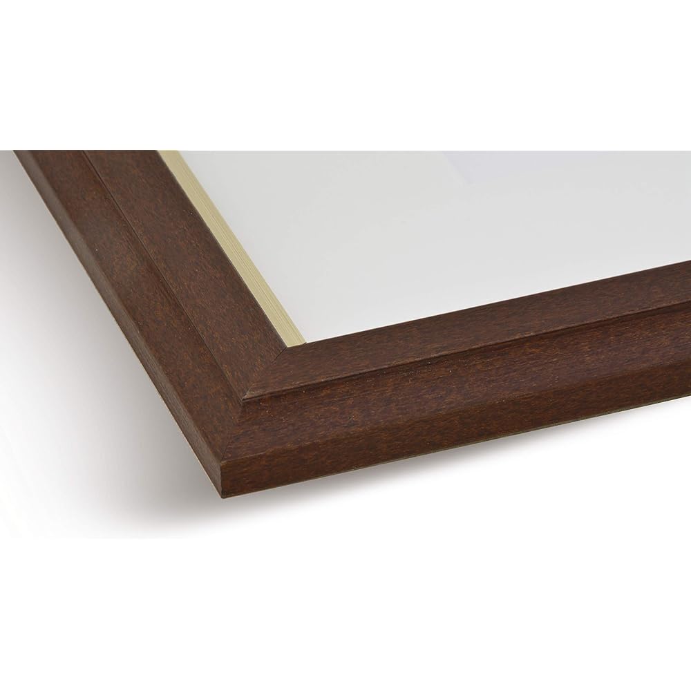 Daigaku Picture Frame Brown Watercolor F6 Lightweight Watercolor Frame Compact Size 8157