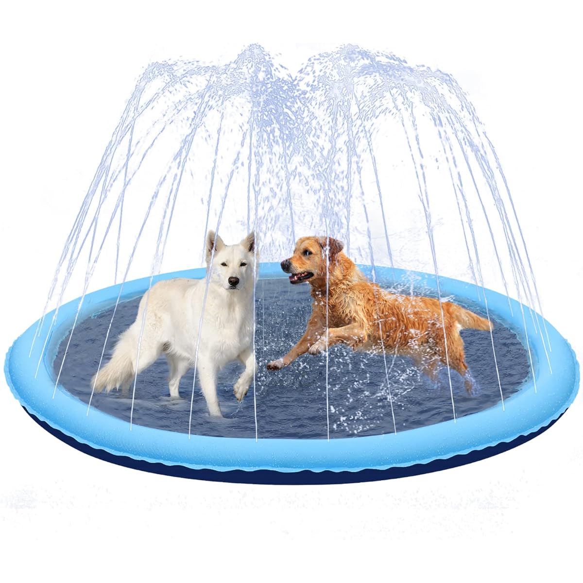 220 splash pad.