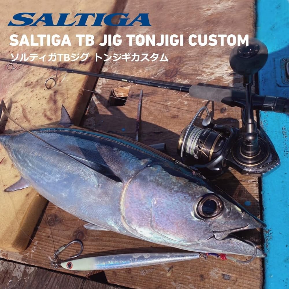 DAIWA Saltiga TB Jig Tonjigi Custom 300~400g Various