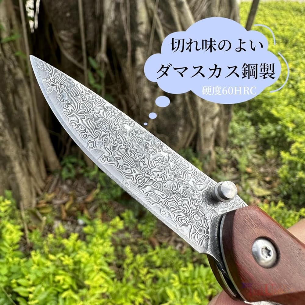 Irai Utaki Small Pocket Knife Damascus Folding Knife Liner Lock Outdoor Knife Survival Wood Handle EDC Knife