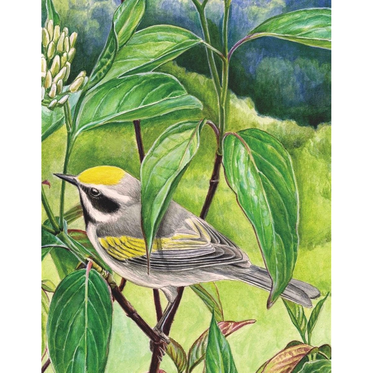 New York Puzzle Company - Cornell Lab Golden Wing Warbler Mini - 100 Piece Jigsaw Puzzle